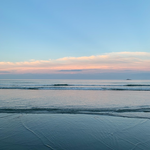 Meet your Posher, Kylie - Picture 1 of 1